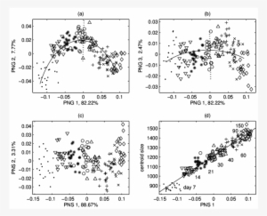 Rat Skull Growth - Diagram #323394