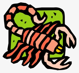 Free Vector Insect #323415