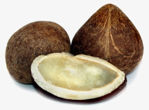 Half Coconut Png Photos - Dry Coconut Png #323574