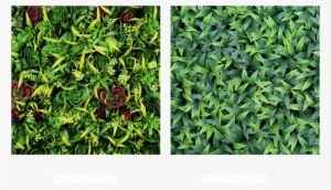 Artificial Wall Plants G0602a046 & G0602a026 - Artificial Vertical Wall #323836