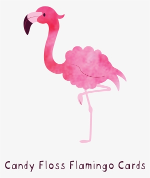 Greater Flamingo #323879