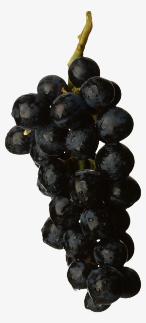 Black Grape Png Image - Black Grapes Fruit Png #323906