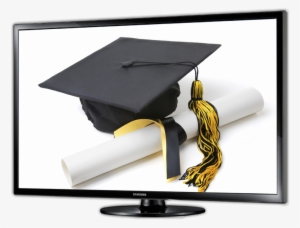 Bachelor's Degree #323952