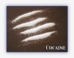 Cocaine And Crack - Rail Of Cocaine #324022
