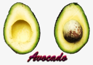 Avocado #324600
