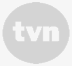 Tvn 2001 2005 O Sb 0 - Portable Network Graphics #324976