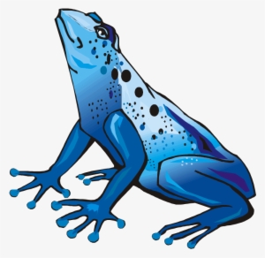 Frog Clipart Baseball - Poison Dart Frog Transparent #325454