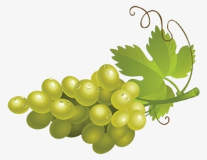 Green Grapes Png High-quality Image - Seedless Fruit #325474
