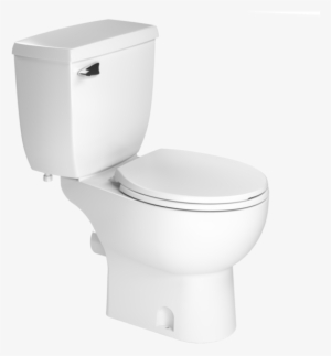 Bowl Transparent Toilet #325573