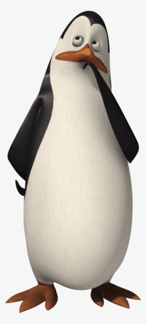 Free Png Madagascar Penguin Png Images Transparent - Kowalski Los Pinguinos De Madagascar #326113