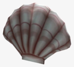 Giant Seashell - Seashell #326428