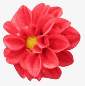 Red, Flower, Cartoon, Love, Pink, Rose, Rosa, Gift - Realistic Flower Clipart #326492