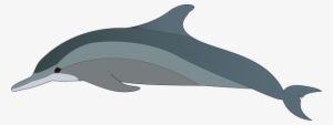 Dolphin Clip Art Png #326761