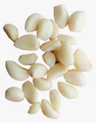 Peeled Garlic Cloves Png Image - Peeled Garlic Png #326923