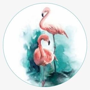 Flamingo Birds Circle Round Pattern Template - Flamingo Watercolor #326953
