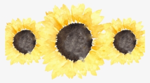Sunflowers Transparent Tumblr For Free Download On - Book #327177
