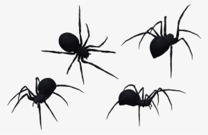 Black Spider Png High-quality Image - Black Spiders Png #327240