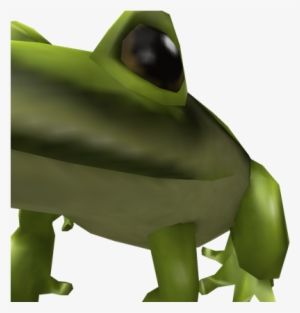 Frog - Portable Network Graphics #327321