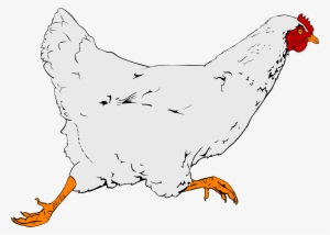 Clipart Png Chicken - Real Chicken Clipart #327434
