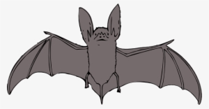 Vector Clipart Bat - Bat Clipart #327523 Vector Clipart Bat - Bat Clipart #327523