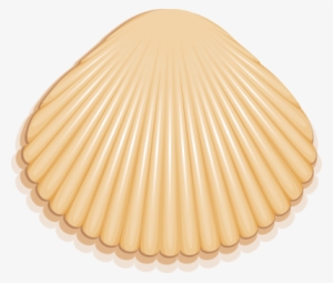 Purple Seashell Png Seashell Outline Clip Art Pictures - Fotor - Free ...