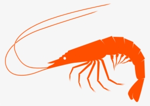 Clip Freeuse Library Orangeshrimp Clip Art At Clker - Shrimp Clipart Png #328053