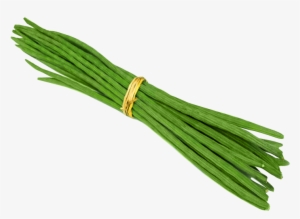 Drumsticks Vegetables #328427