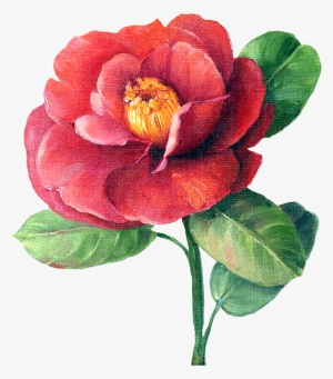 Flower Painting By Lisa Audit Png Item #328846