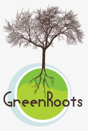 Green-roots - We Can T Choose Where We Come #329060