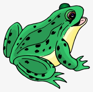 Frog Png Images Transparent Free Download - Clip Art Of Frog #329203