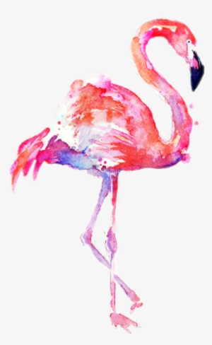 Flamingo Transparent Water Color - Transparent Background Flamingo Png #329384