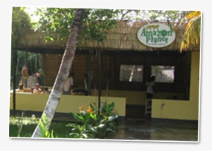 During These Tours I'd Often Hear From My American - Cottage #329694