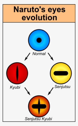 La Respuesta Es No, Los Ojos De Naruto Cambian Como - Naruto Eyes Evolution #329810