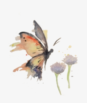 Butterfly Watercolor - Butterfly #3200411