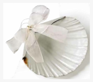 Concha De Plata Para Bautizo #3203561