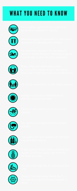 Scuba Dive - Scuba Diving #3203632