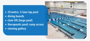 Swim & Aquafitness Schedule - Garnet A Williams Pool #3203992