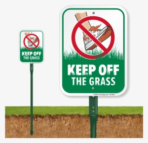 Zoom, Price, Buy - Dont Pick Flowers Signage #3204435