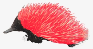 It's Knuckles The Real Echidna - Drawing #3204572