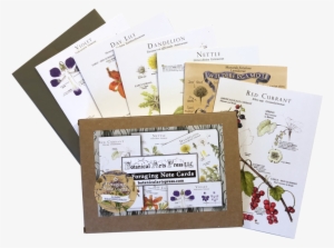 Set Of 6 Plant Identification/recipe Note Cards #3204592