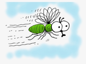 Regular And Irregular Verbs #3205571