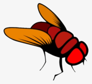 Fly - Fruit Fly Cartoon #3205593