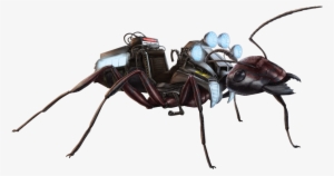 Carpenter Ant Fh #3206080