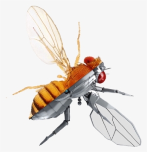 2018 Qbio Summer Course - Course #3206110