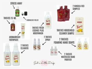 Premium Starter Kit With Thieves - Ningxia Red Starter Kit #3206196