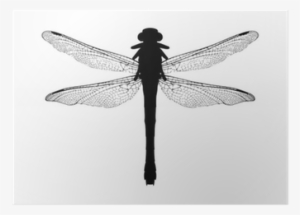 Silhouette #3206261