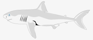 Shark Fish Clipart Four - Guia To Shark Identification Squaliformes #3206307