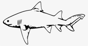 Lemon Shark Clipart 3 By Heidi - Lemon Shark Drawing #3206401