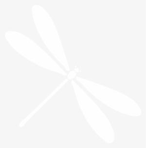 Damselfly #3206655