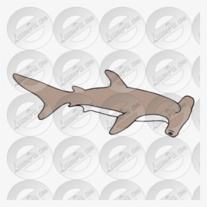 Hammerhead Shark Clipart Transparent Background - Smalleye Hammerhead #3206688